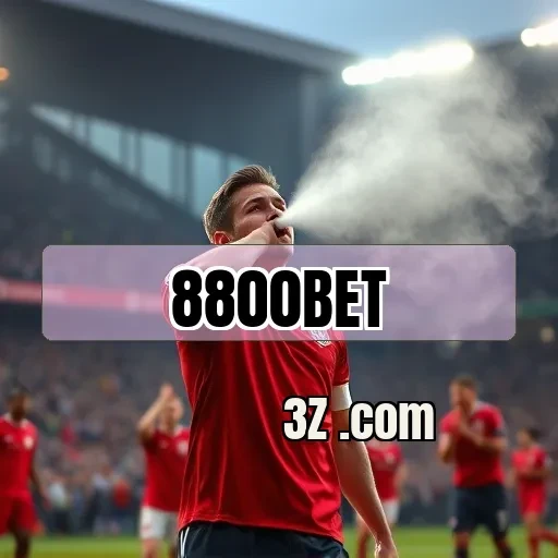 Bingo no 8800bet: Diversão e Prêmios a Cada Jogo